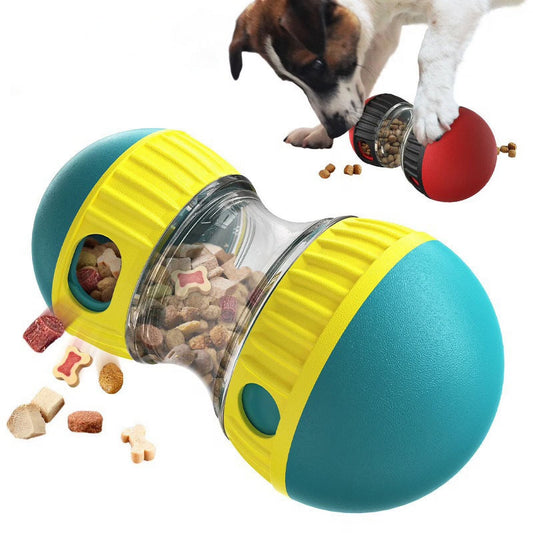 Top 5 Must-have Pet Supplies Every Home Should Have