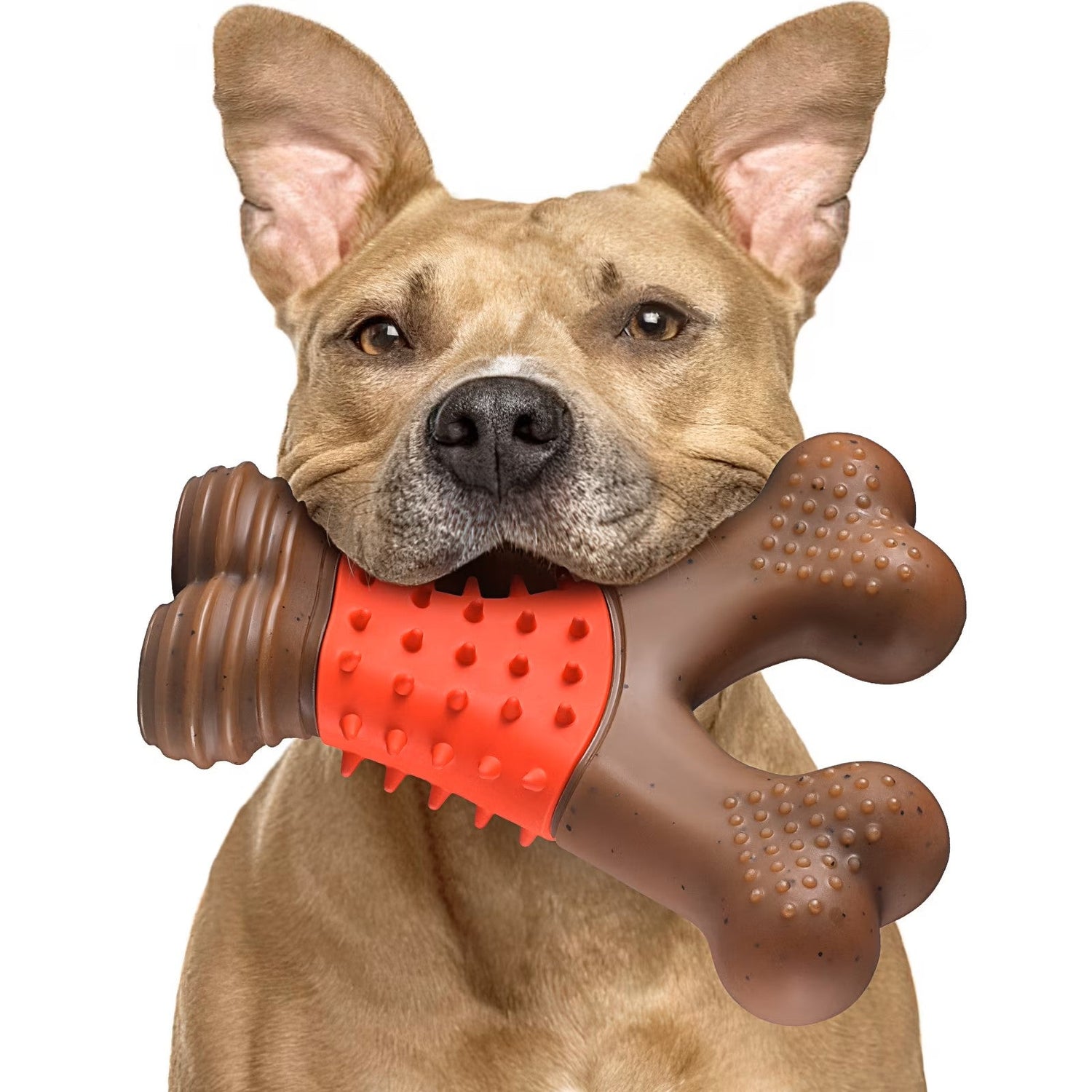 Pet Supplies